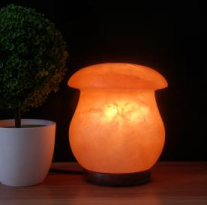 Salt Night Lights