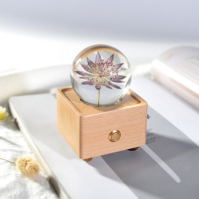 Crystal Ball, Flower Night Light, Herbarium Night Light With Bluetooth Speaker