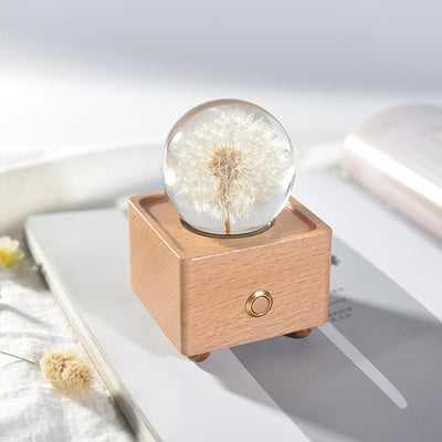 Crystal Ball, Flower Night Light, Herbarium Night Light With Bluetooth Speaker