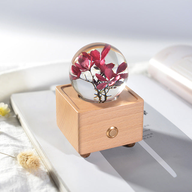 Crystal Ball, Flower Night Light, Herbarium Night Light With Bluetooth Speaker