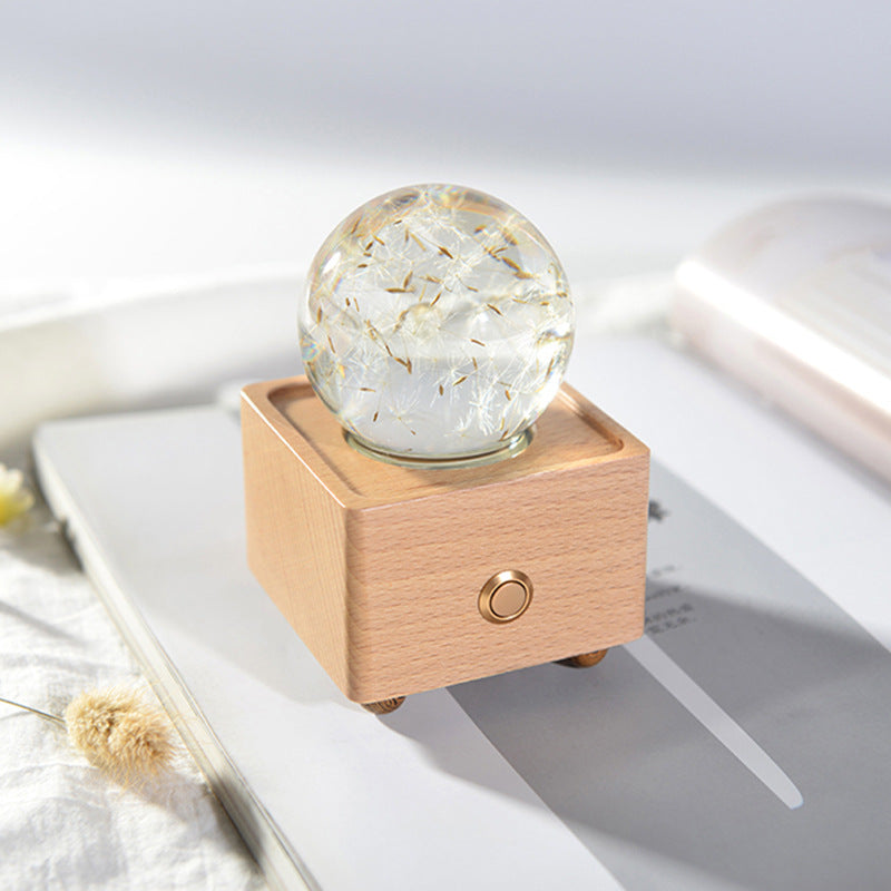 Crystal Ball, Flower Night Light, Herbarium Night Light With Bluetooth Speaker