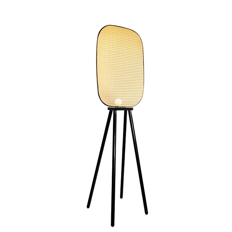 Modern Floor Lamp, Scandinavian Living Room Light, Bedroom Light