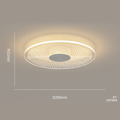 Circle Ceiling Light, Hallway Ceiling Light, Foyer Light