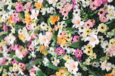 Mixed colors of chrysanthemums and green leaves Cloth Roll Up Flower Wall Fabric Hanging Curtain Plant Wall Event Party Wedding Backdrop