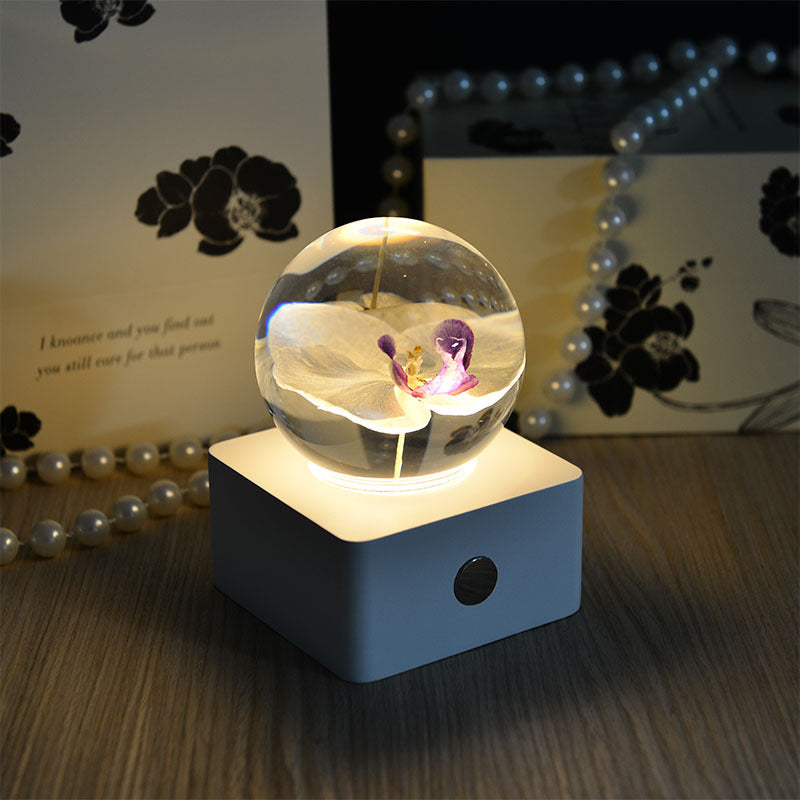 Crystal Ball, Phalaenopsis Night Light, Herbarium Night Light