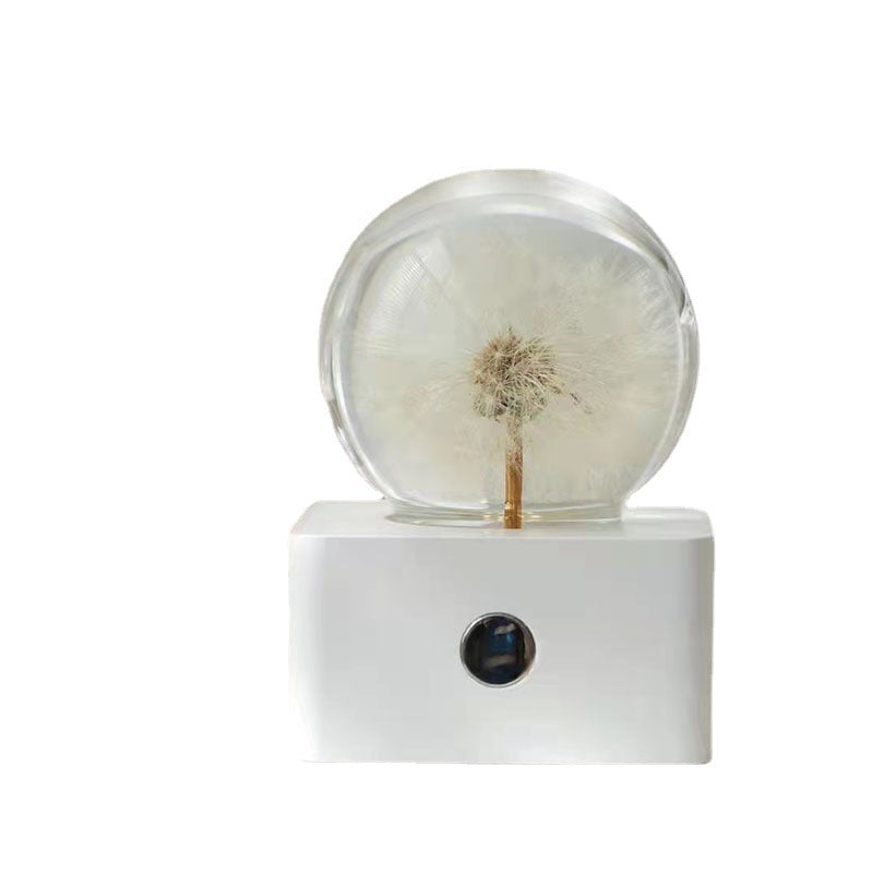 Crystal Ball, Dandelion Night Light, Herbarium Night Light