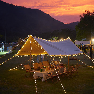 Globe String Lights with Bulbs, Fairy Lights