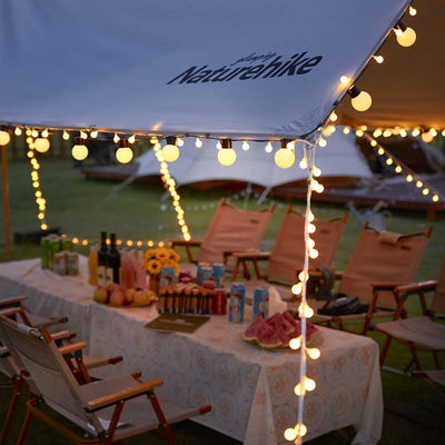 Globe String Lights with Bulbs, Fairy Lights