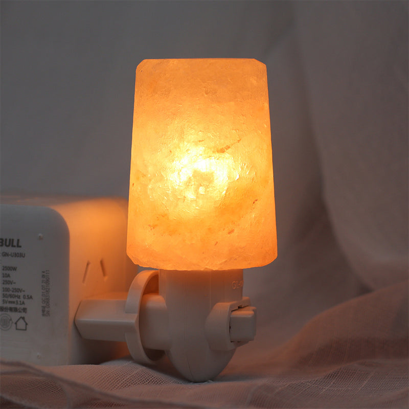 Plug In Salt Night Light, Mini Hand Carved Himalayan Salt Light