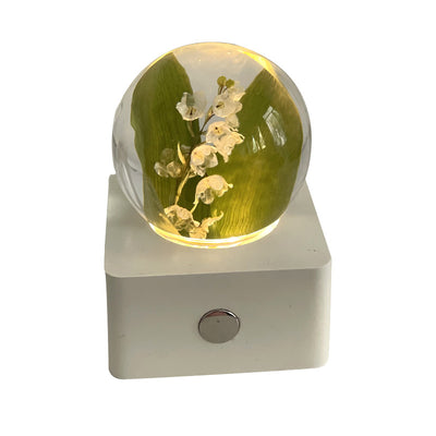 Crystal Ball, Flower Night Light, Herbarium Night Light