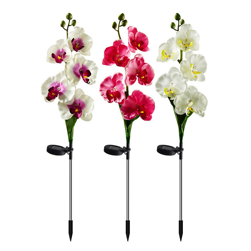 Solar Garden Light, Solar Phalaenopsis Flower Light, Solar Garden Decoration - Set Of 2