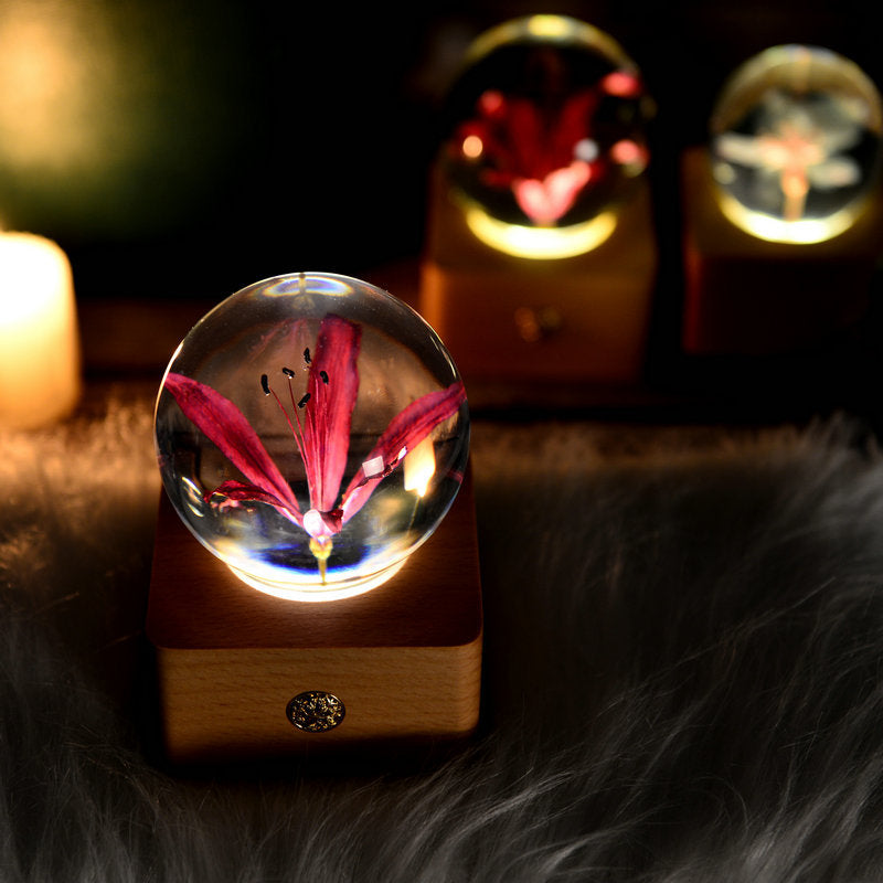 Crystal Ball, Flower Night Light, Herbarium Night Light