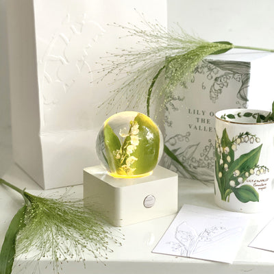 Crystal Ball, Flower Night Light, Herbarium Night Light