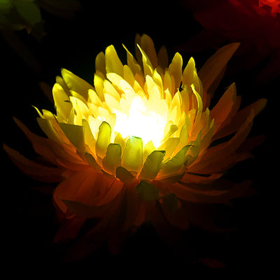 Solar Garden Light, Solar Chrysanthemum Flower Light, Solar Garden Decoration - Set Of 2