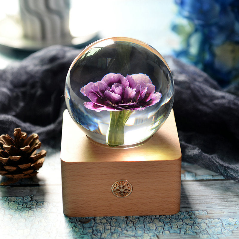 Crystal Ball, Carnation Night Light, Herbarium Night Light