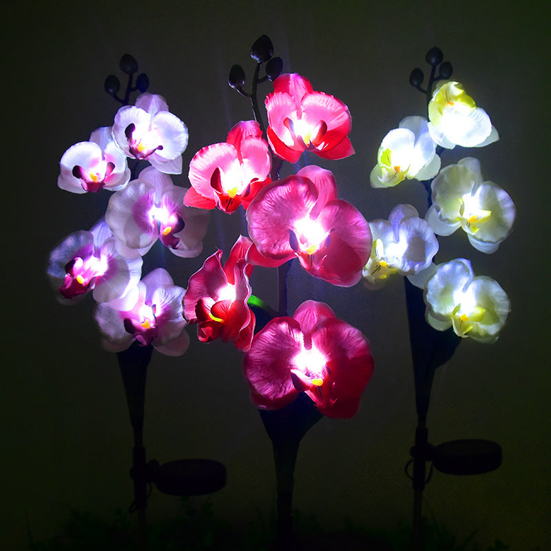 Solar Garden Light, Solar Phalaenopsis Flower Light, Solar Garden Decoration - Set Of 2