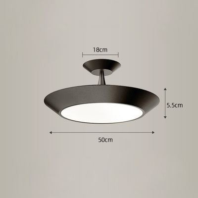 Plate Hanging Light, Plate Ceiling Light, Hanging Light for Dining Room