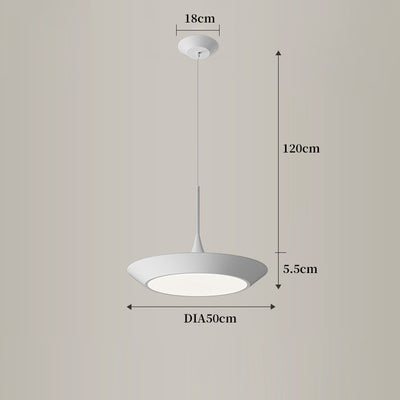 Plate Hanging Light, Plate Ceiling Light, Hanging Light for Dining Room