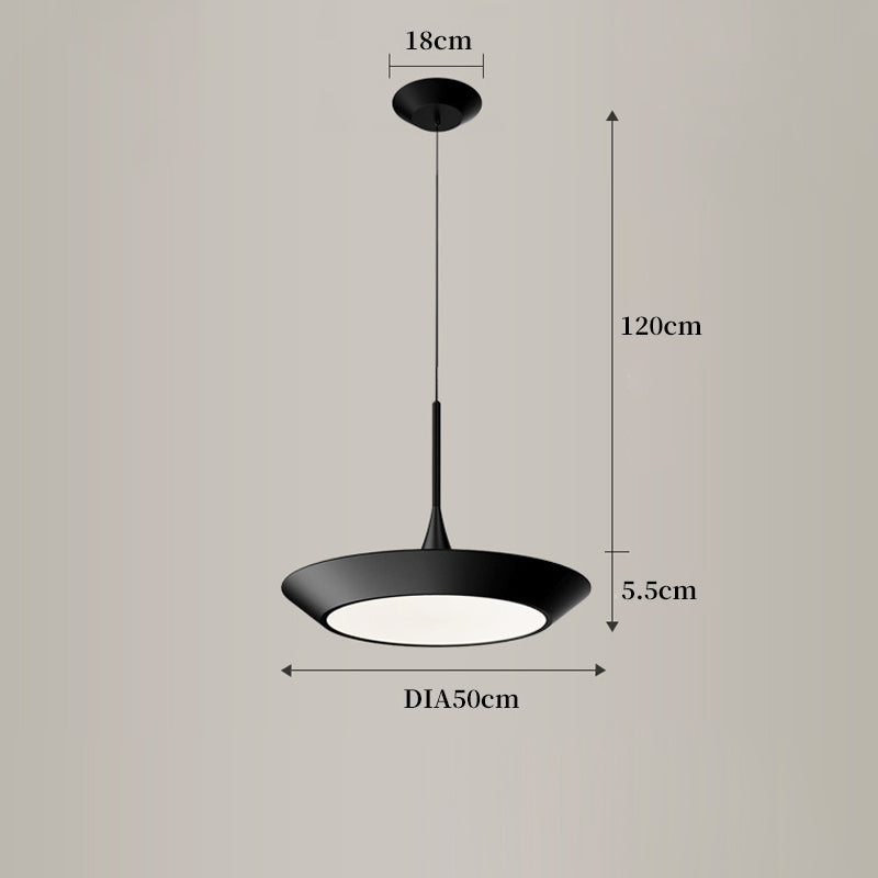 Plate Hanging Light, Plate Ceiling Light, Hanging Light for Dining Room