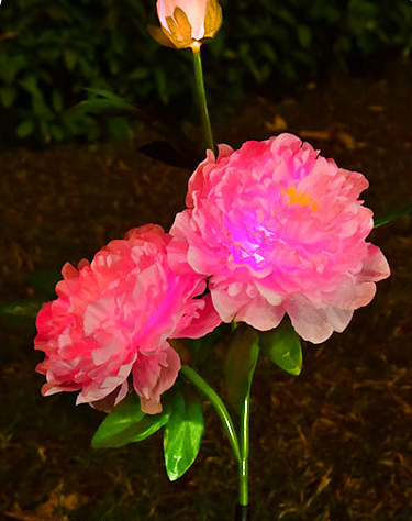 Solar Garden Light, Solar Peony Flower Light, Solar Garden Decoration - Set Of 2