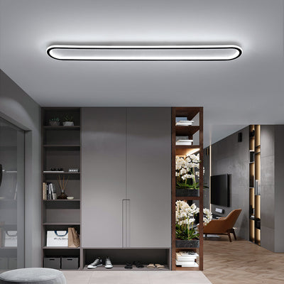 Modern Aisle light for Entrance Hall, Led Long Ceiling light