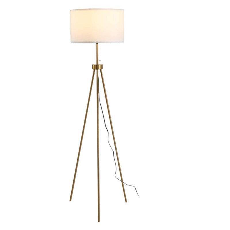 Tripod Floor Lamp for Living Room